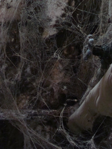 file5271263166456 by gwaddell